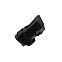 dynastdual-1