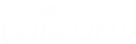 logo beli celtisorto